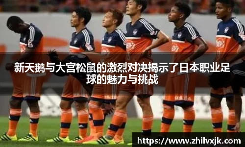 谈球吧